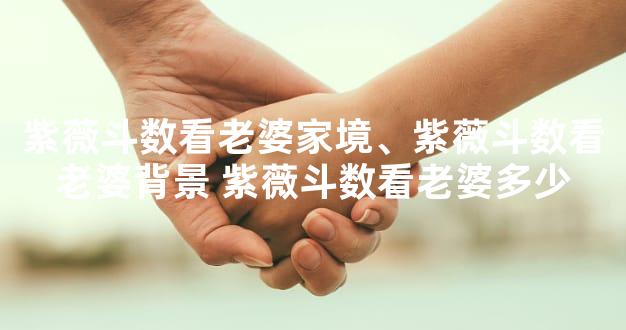 紫薇斗数看老婆家境、紫薇斗数看老婆背景 紫薇斗数